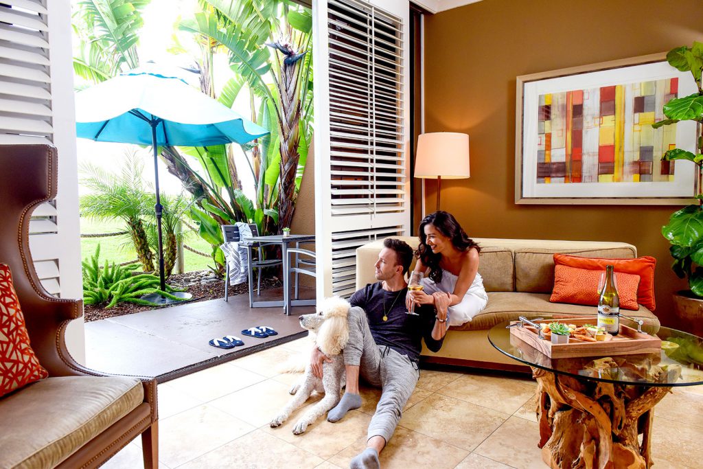 The Cliffs Hotel is Dog Friendly At The Cliffs Hotel and Spa your dogs are always weldome!