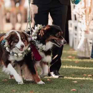 Weddings are a family affair at The Cliffs Hotel and Spa in Pismo Beach, California