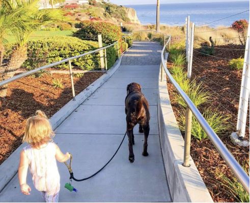 Dogs LOVE to experience the tidal pools of Pismo Beach!